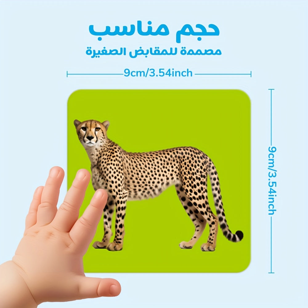 description4