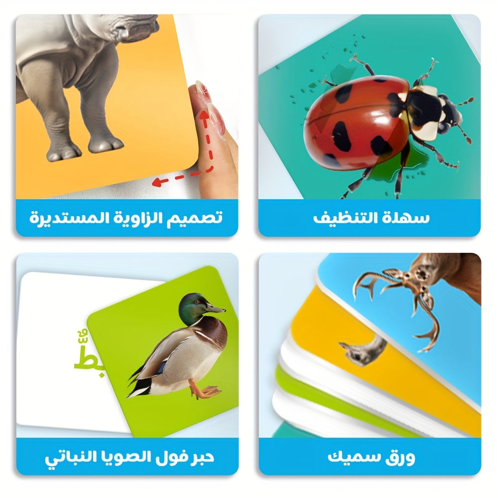 description5