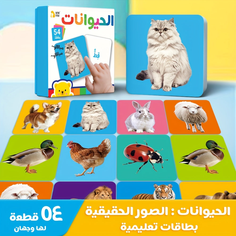 description6