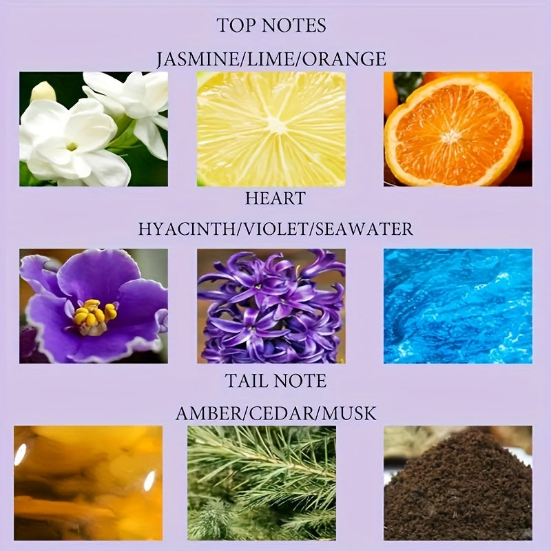 description6